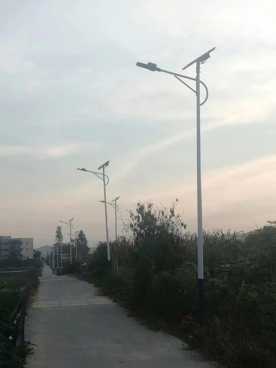Hàng cột đèn đường năng lượng mặt trời dọc đường bê tông